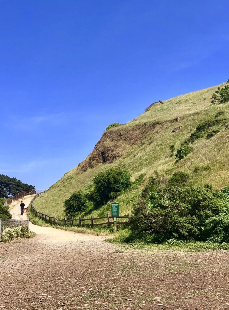 Corona Heights Park. Nice place for a picnic on Mother's Day.