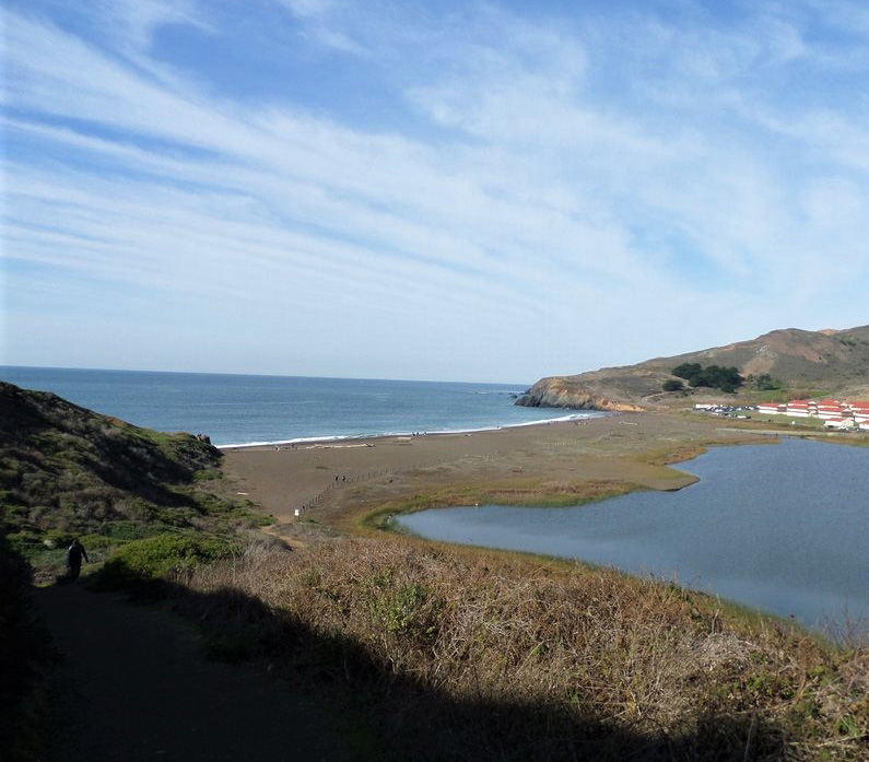 Best family- and dog-friendly picnic spots in the Bay Area