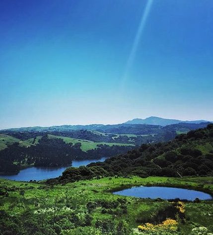 Best picnic place fro family of any size or age: Tilden Regional Park